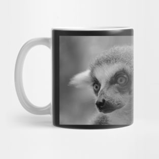 Ring-Tailed Lemur Mug